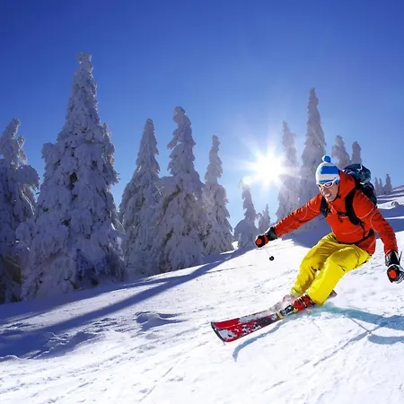 Aparthotel U Pivovaru - Boží Dar