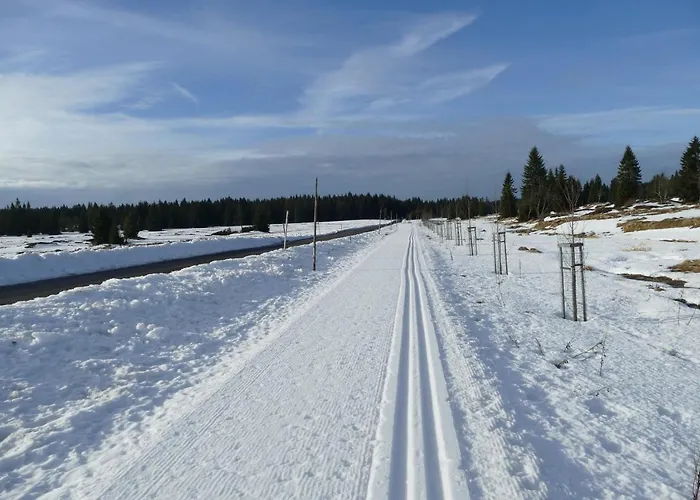 U Pivovaru - 3* Boží Dar